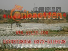 钢管镀塑大棚骨架机