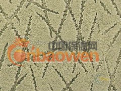 质感涂料
主要有弹性质感涂料，干粉质感，湿浆质感等，不同系列，达到的效果也不一样。质感涂料主要就是运用特殊的工具在墙上塑造出不同的造型和图案，使你的空间更加的立体和真实美观大方这种新型艺术涂料，把墙身涂料的平滑型时代带进了天然环保型凹凸涂料的全新时代。 可以替代墙纸，而且更加环保，经济，个性化。质感涂料无辐射，自重轻，效果逼真，通过不同的施工工艺，手法和技巧，创造无穷特殊装饰效果。
