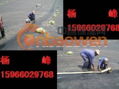 垃圾填埋场用土工膜 土工布 排水板 防渗膜 防水土工膜图2