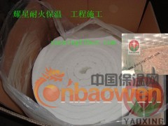陶瓷纤维针刺毯 硅酸铝毯 红砖窑内衬吊顶保温施工设计图2