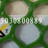 塑料养鸭网  金豪丝网塑料平网厂家