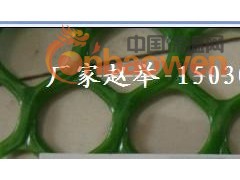 塑料养鸭网  金豪丝网塑料平网厂家图3