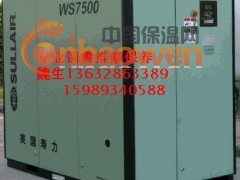 美国寿力WS45-75(60-100HP/45-75KW)图2