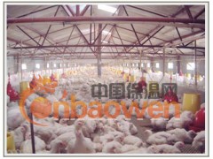 广州旭辉保温鸡舍 承揽建设图2