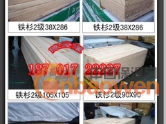 铁杉 铁杉板材 铁山板材图2
