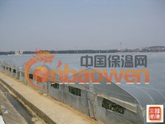 钢架大棚，钢管大棚厂，钢管镀塑温室大棚骨架安阳博利图3