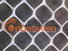 塑料养鸭网 塑料平网 塑料网图3