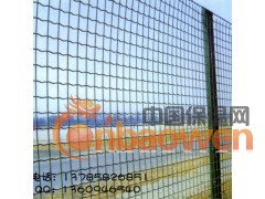 ★高速公路波浪网|铁路波浪网机场波浪网|波浪护栏网|荷兰网图3