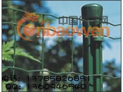 ★荷兰网|畜牧防护网|畜牧荷兰网|养殖防护网|养殖荷兰网图2