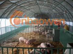 塑料大棚支架，新型无支柱大棚支架机安阳博利图2