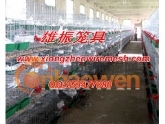 三层12笼位鸽子笼子,求购鸽子笼子,肉鸽笼子图2