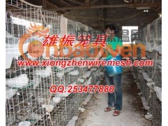 四层16笼位鸽子笼子,鸽子笼子价格,鸽子笼子厂家图2