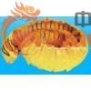 半圆排水管/弹簧排水管