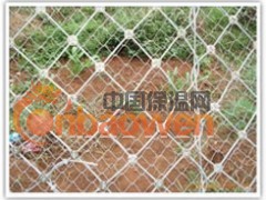 简介：