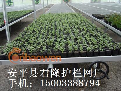 君隆苗床网，君隆温室苗床网，君隆苗床镀锌网片，君隆青州苗床网