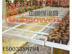 君隆苗床网，君隆温室苗床网，君隆苗床镀锌网片，君隆青州苗床网图2