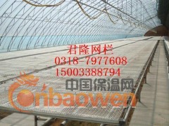君隆苗床网价格，君隆温室苗床网厂家 ，君隆镀锌苗床网规格图2