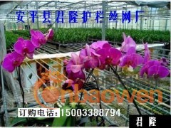 君隆苗床网|青州温室苗床网|君隆镀锌苗床网片|君隆植床网片图2