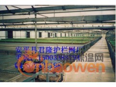 君隆苗床网，郑州苗床网，新乡苗床网，君隆苗床网厂图2