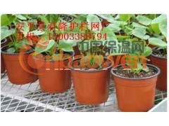 君隆苗床网，郑州苗床网，新乡苗床网，君隆苗床网厂图3