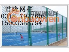 求购体育场围网，请找君隆体育场围网厂家15003388794图2