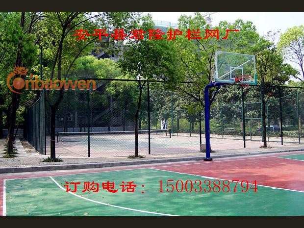 求购网球场围网，请找君隆网球场围网厂家15003388794