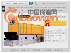 卧式链条蒸汽锅炉www.ycglc.cc太康银晨锅炉