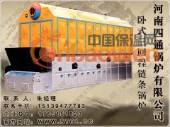 卧式链条蒸汽锅炉