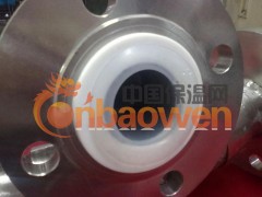 供应内衬四氟波纹管，补偿器1图3