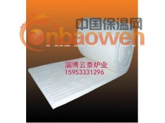 厂家生产销售推板窑炉保温专用韩涛硅酸铝陶瓷纤维模块，毯图3