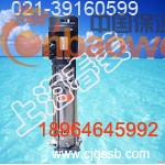 立式变频泵安装