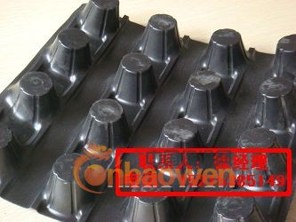 供应蓄排水板|HDPE排水板|双面排水板|