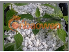 厂家直销珍珠岩膨胀粉，园艺用大颗粒膨胀珍珠岩图2