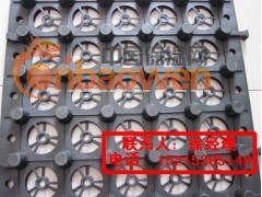 供应排水板厂家|排水板专业 152*1538*5149图2