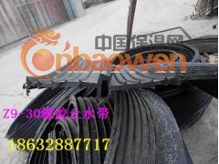 橡胶止水带、651橡胶止水带、双组份聚硫建筑防水密封胶图2