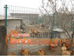 体育场勾花围栏网 球场防护网 高速公路护栏网专家 价格便宜图3