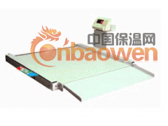供应友德力带斜坡小地磅图2