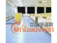 青岛塑胶地板 LG巴利斯图2