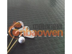 山东塑胶地板 LG钢宝图3