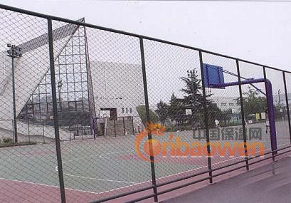 体育场防护网