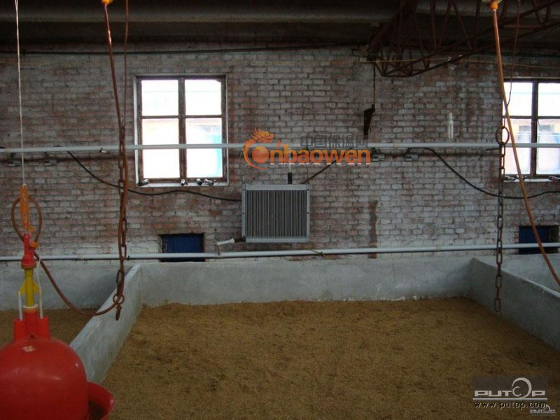 新型育雏养殖水暖锅炉