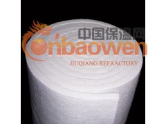 厂家供应多种类陶瓷纤维耐火保温制品(可来样加工)图3