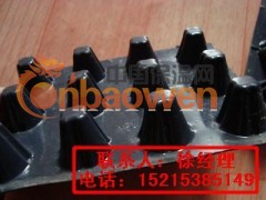 供应铜陵排水板厂家￥铜陵塑料排水板￥铜陵排水板图2