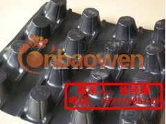 供应盛源屋顶隔热层排水板==土工布图3