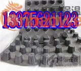 呼和浩特排水板~塑料排水板##蓄排水板~鄂尔多斯车库滤水板