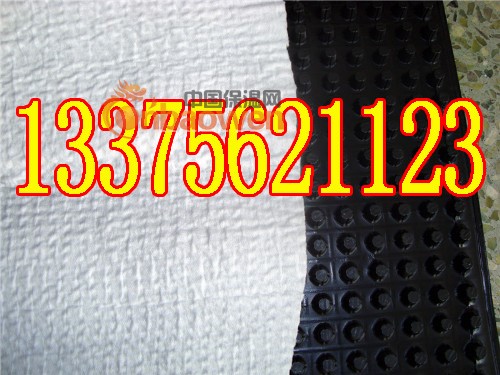 青岛排水板…青岛种植屋面蓄水板—青岛绿化排水板销售