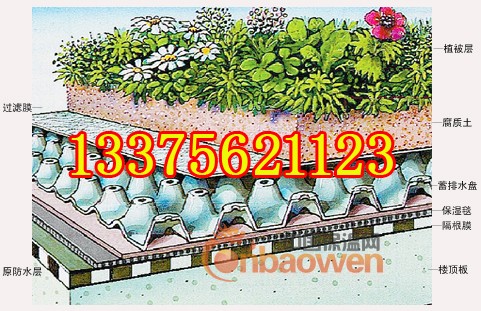 即墨排水板___即墨塑料滤水板！即墨排水板__蓄排水板销售