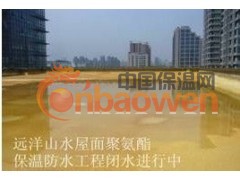 水立方聚氨酯喷涂工程图3