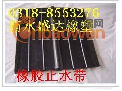 专供东北地区国标中埋式橡胶止水带图2