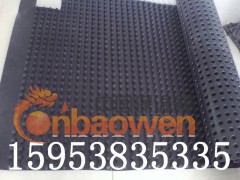 ★★秦皇岛排水板——秦皇岛塑料排水板——秦皇岛疏水板厂家★★图3